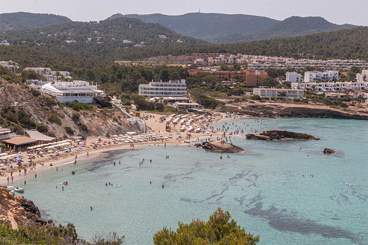 cala tarida