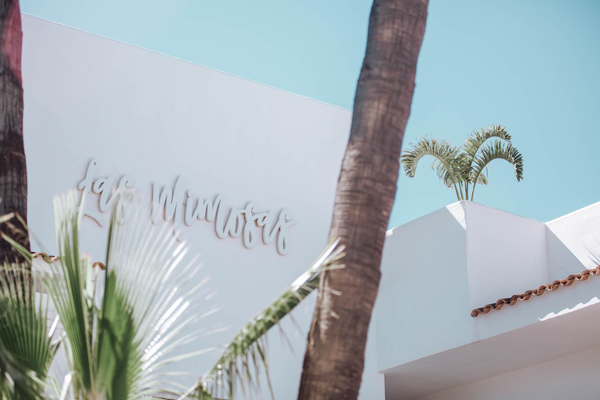 Hotel Boutique & Spa Las Mimosas Ibiza